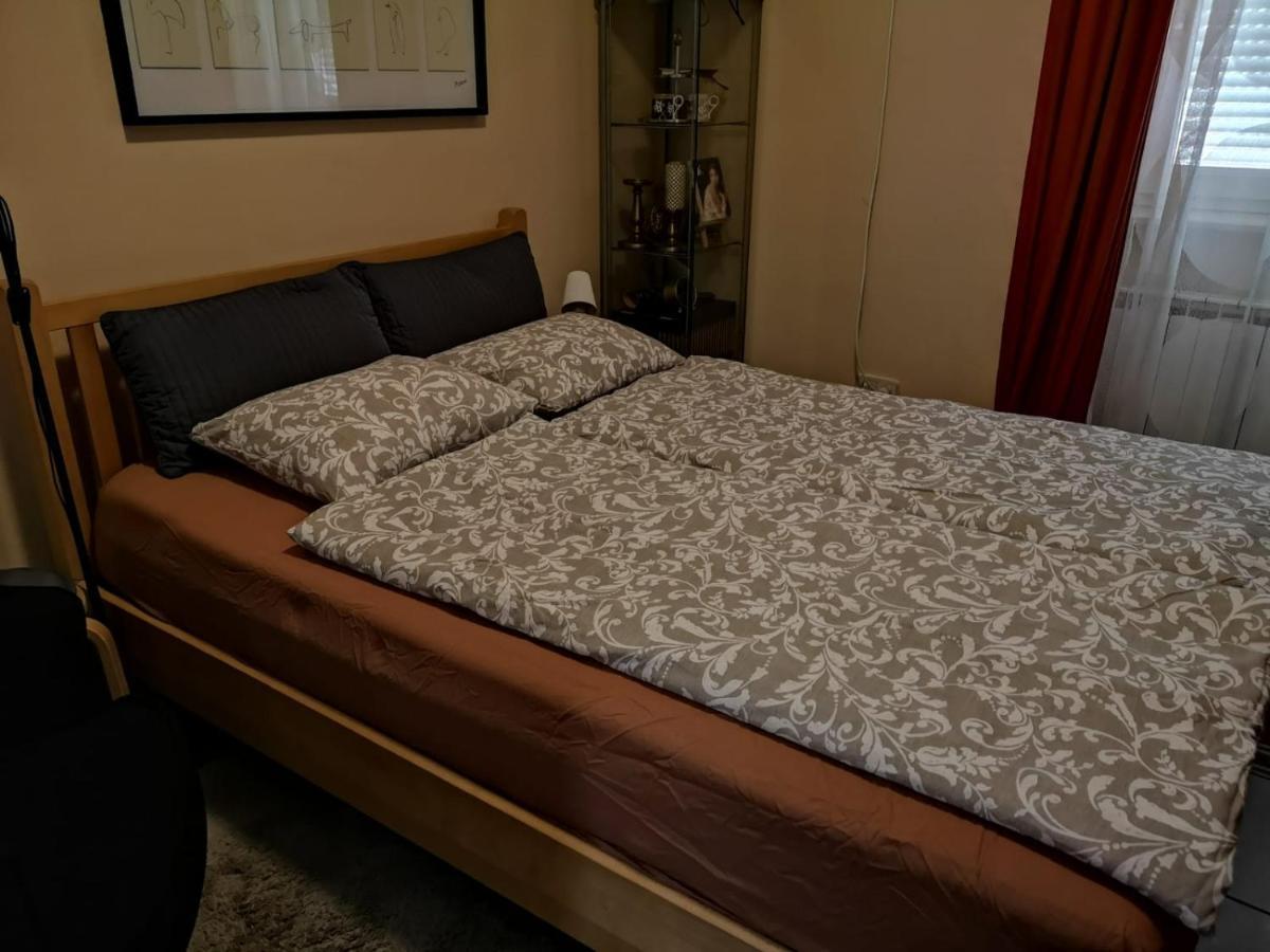Apartment Lisinski S Загреб Екстериор снимка
